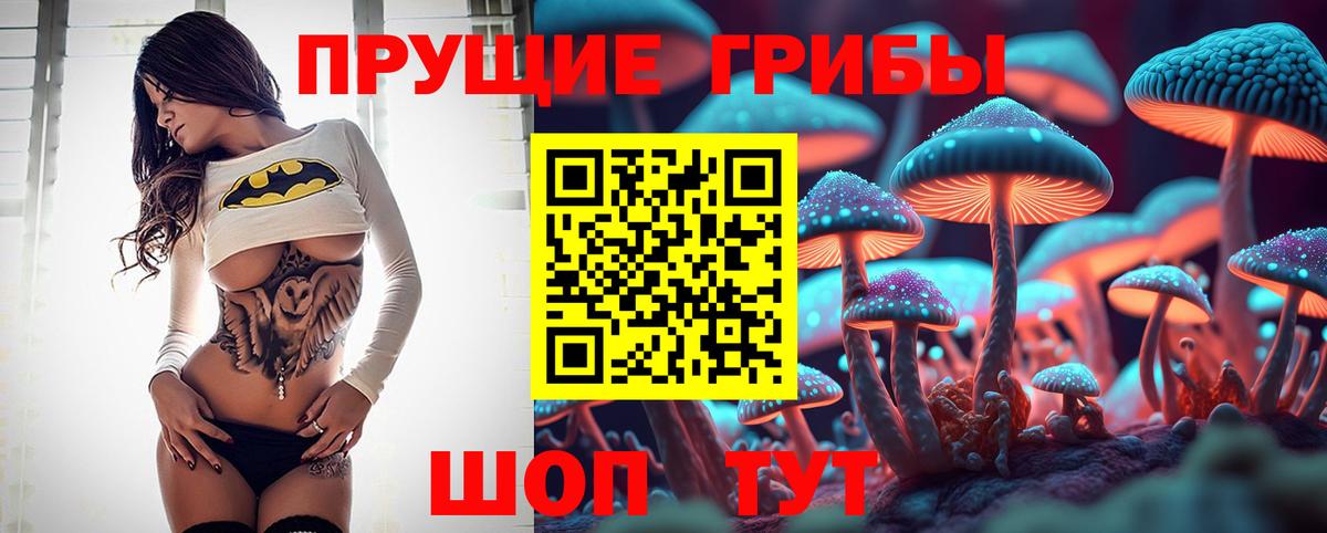 Междуреченск  продажа наркотиков  Псилоцибиновые грибы Psilocybe  Вход с VPN  Псилоцибиновые грибы MAGIC MUSHROOMS 