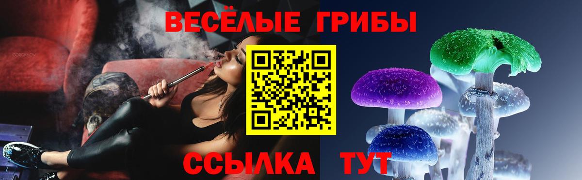 Alpha PVP СОЛЬ   Вход с VPN  LSD-25  МДМА  Междуреченск  Кетамин  Гашиш  Марихуана  Кокаин  Мефедрон  